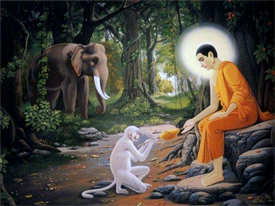 Major Differences in Buddhism