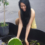 jendhamuniplayingwithlotus650