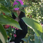 Jendhamuni holding apples 10-11-15