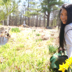 Jendhamuni lotus pond2
