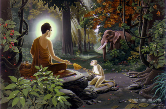 buddha and animals